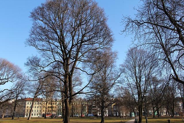 Oslo Travel Guide: Discover the Best Attractions, Cultural Experiences, and Natural Beauty of Norway